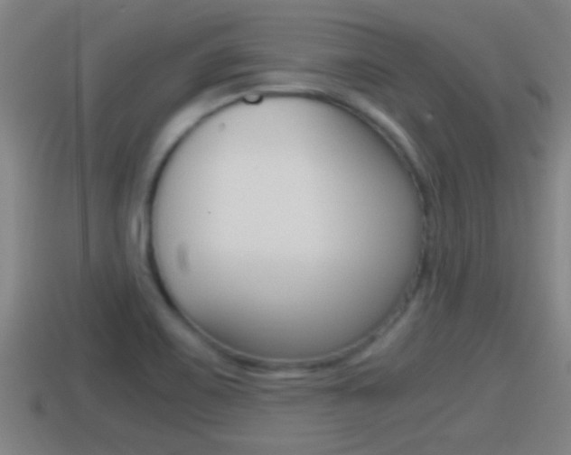 X0000114411467200910161021