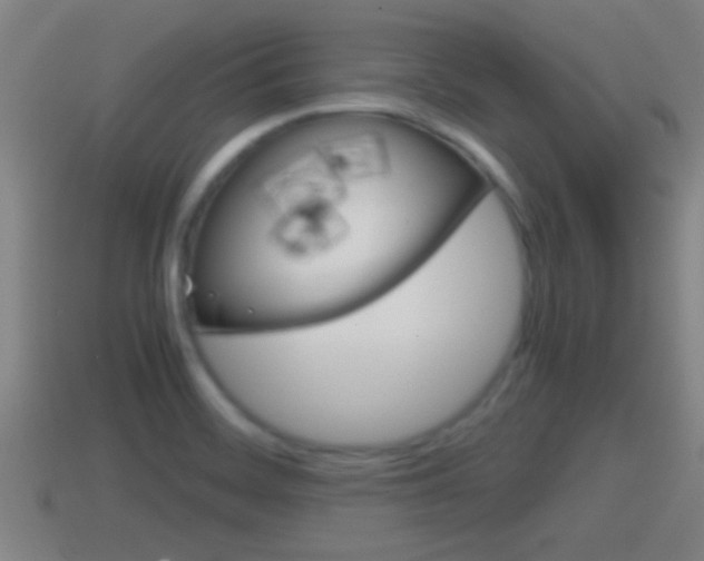 X0000114411468200910161021