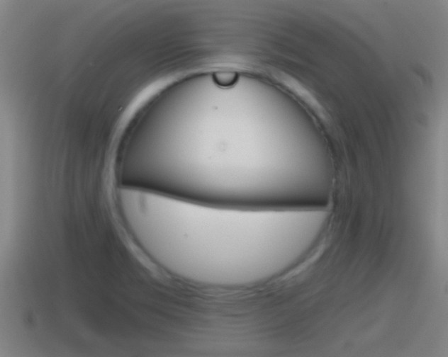 X0000114411469200910161021