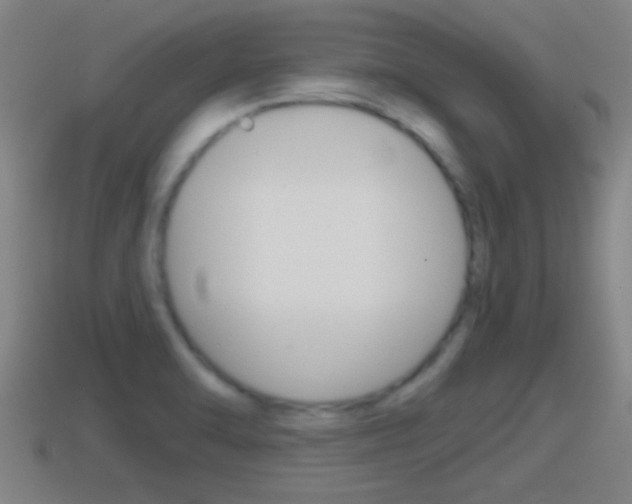 X0000114411470200910161021
