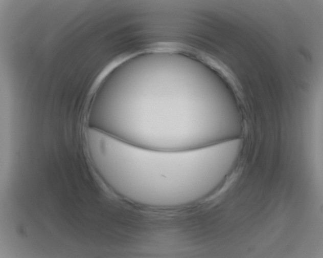 X0000114411473200910161021