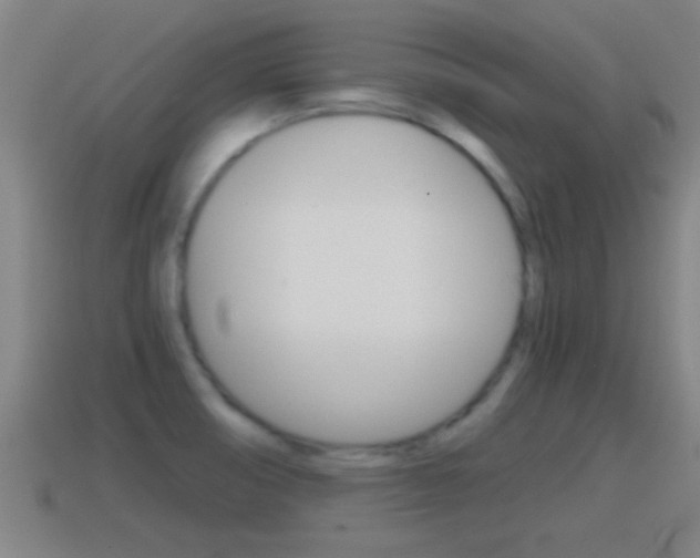 X0000114411474200910161021