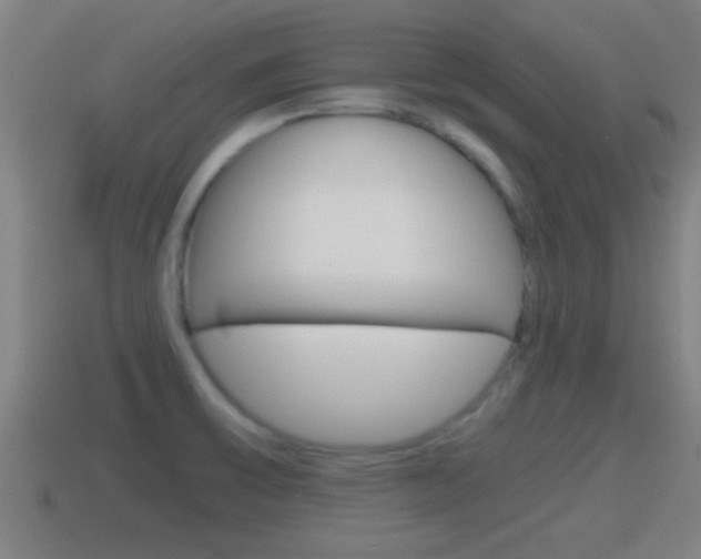 X0000114411475200910161021