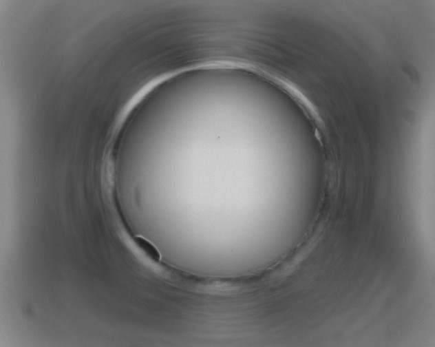 X0000114411476200910161021