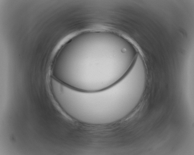 X0000114411477200910161021