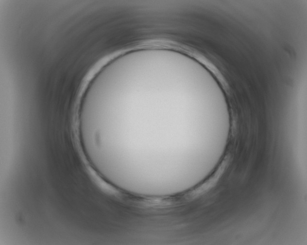X0000114411478200910161021