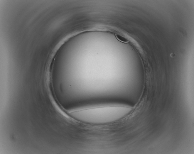 X0000114411479200910161021