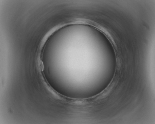 X0000114411480200910161021