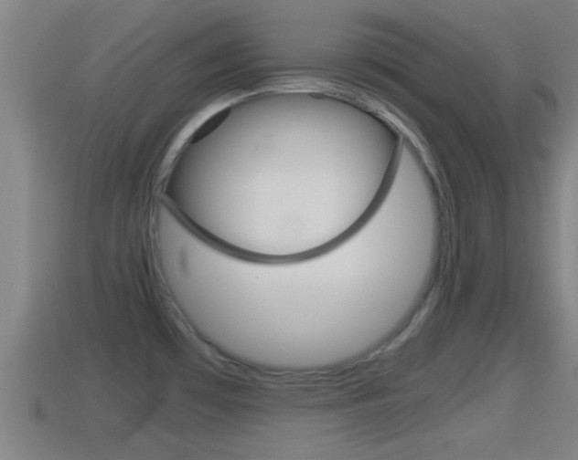 X0000114411481200910161021