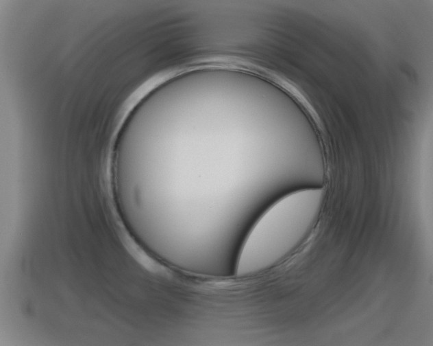 X0000114411482200910161021