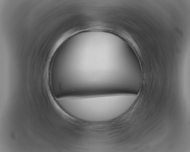 X0000114411483200910161021