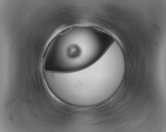 X0000114411484200910161021