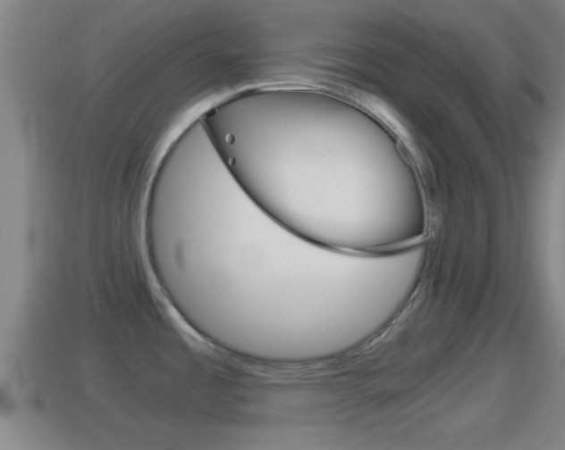 X0000114411485200910161021