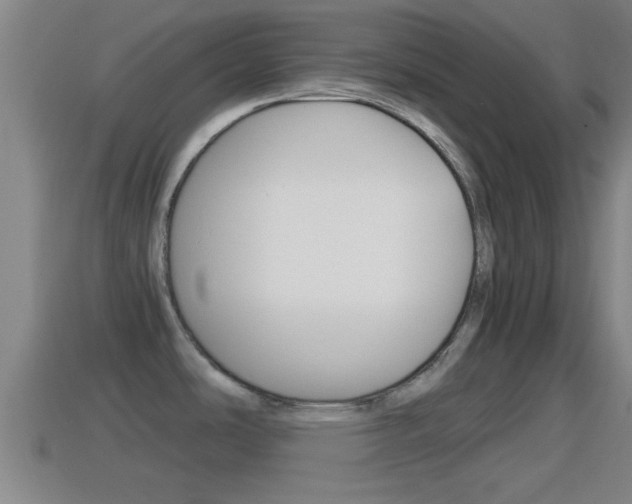 X0000114411486200910161021