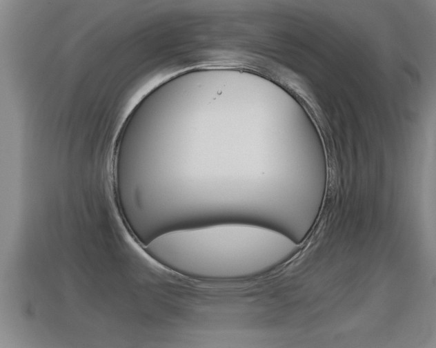 X0000114411487200910161021