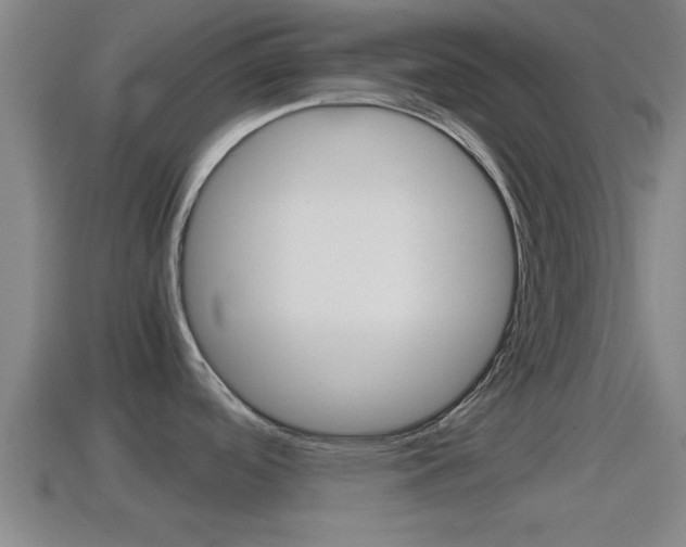 X0000114411488200910161021