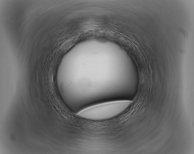 X0000114411489200910161020