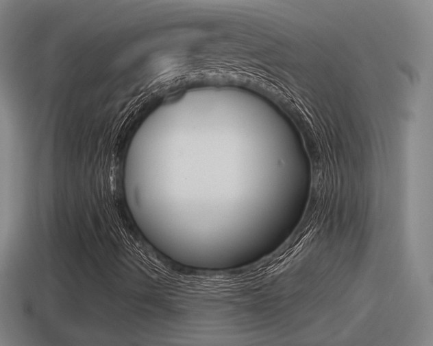 X0000114411490200910161020