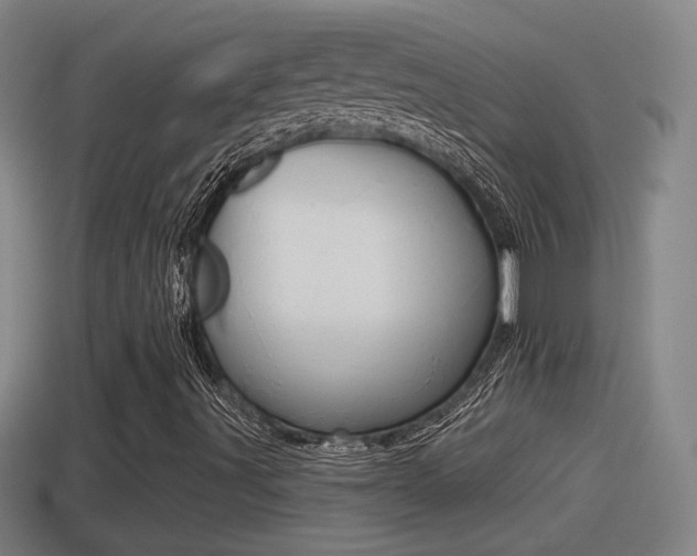 X0000114411491200910161020