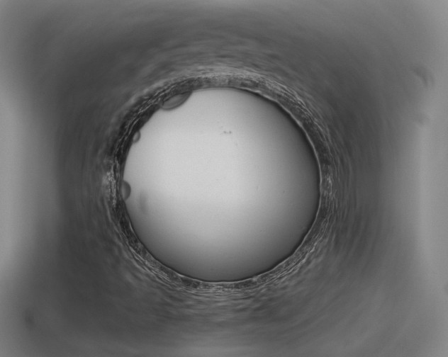 X0000114411493200910161020