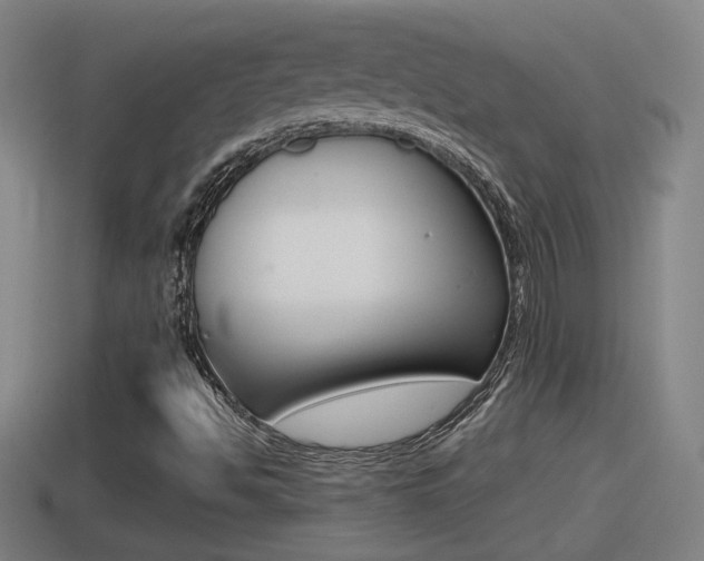 X0000114411494200910161020
