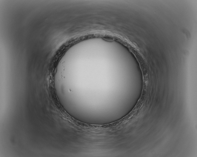 X0000114411495200910161020