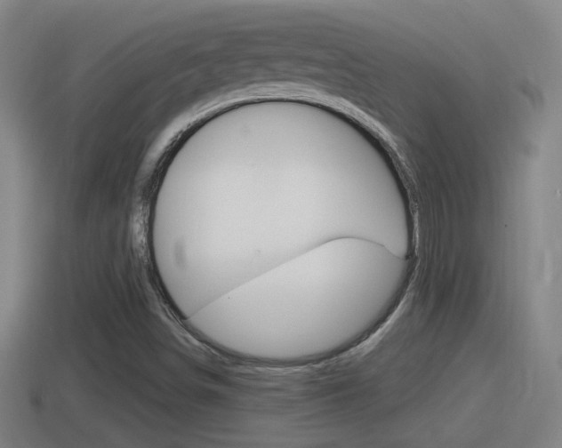 X0000114411498200910161020