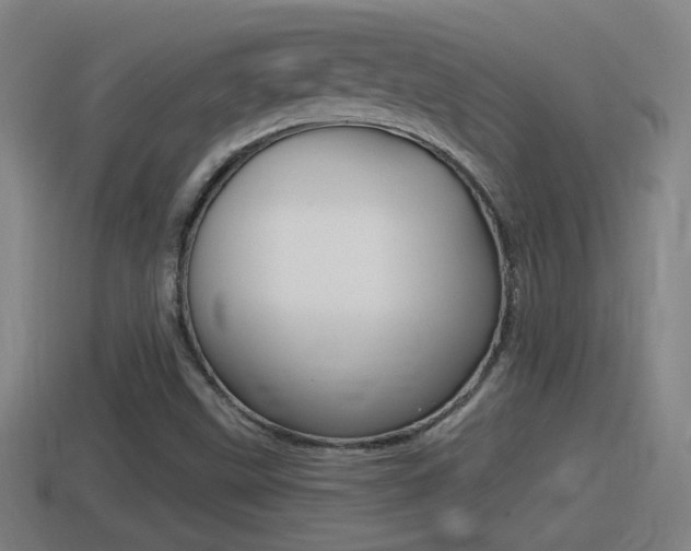 X0000114411499200910161020