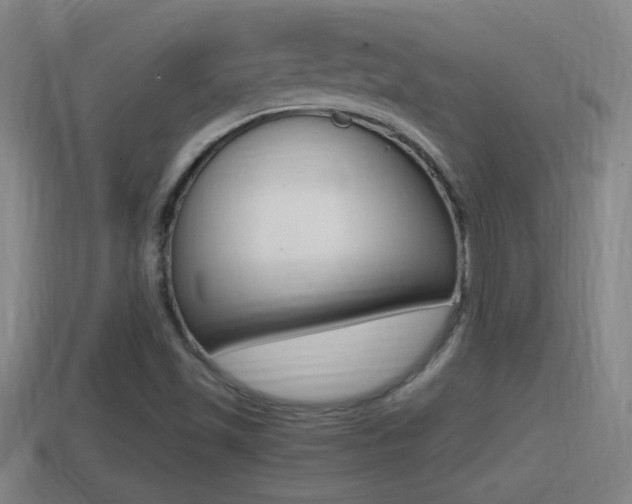 X0000114411501200910161020