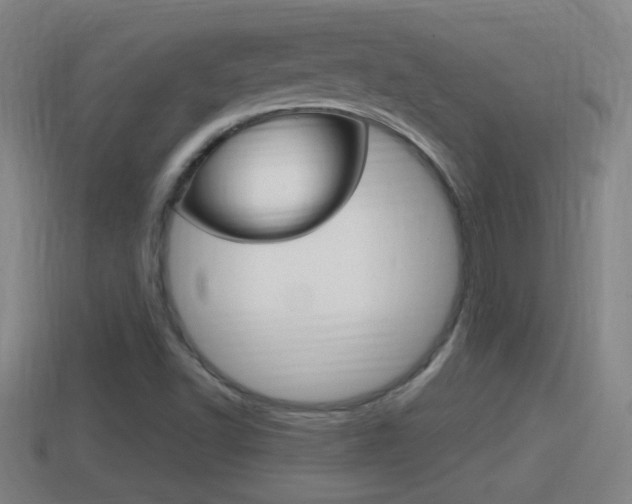 X0000114411502200910161020