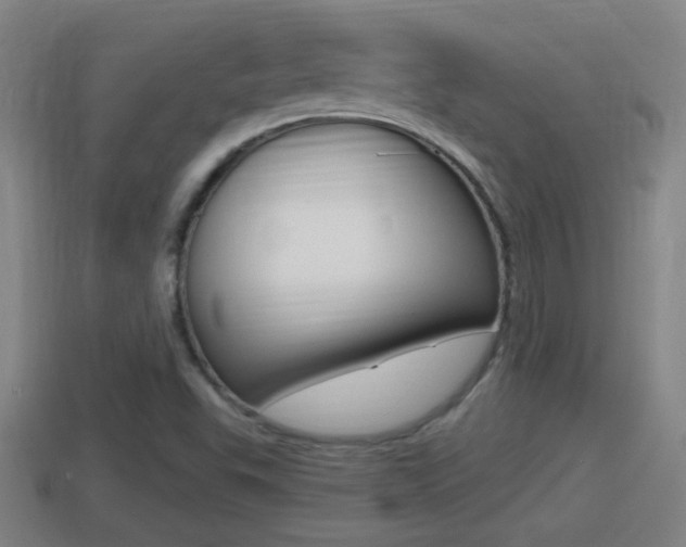 X0000114411503200910161020