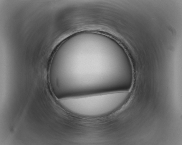 X0000114411505200910161020