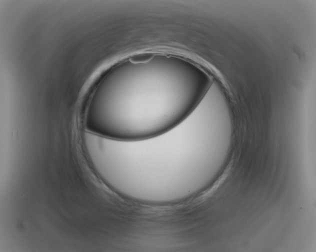 X0000114411506200910161020