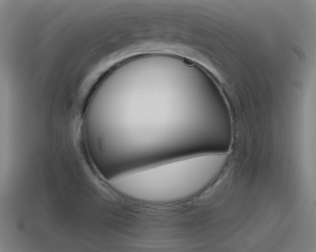 X0000114411507200910161020