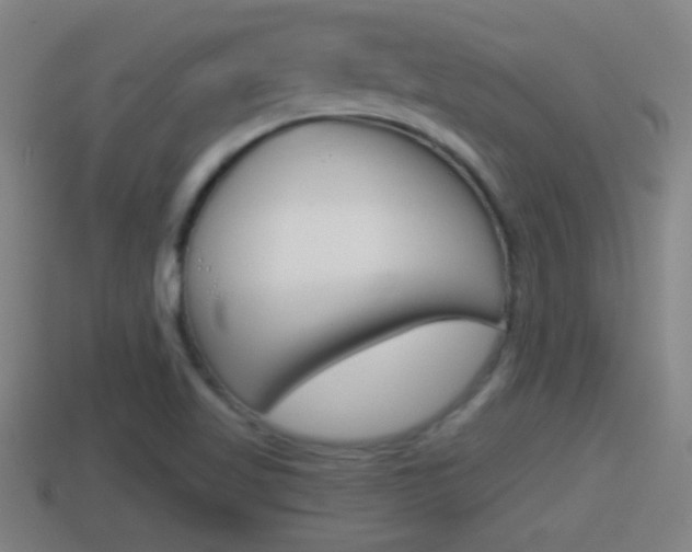 X0000114411509200910161020