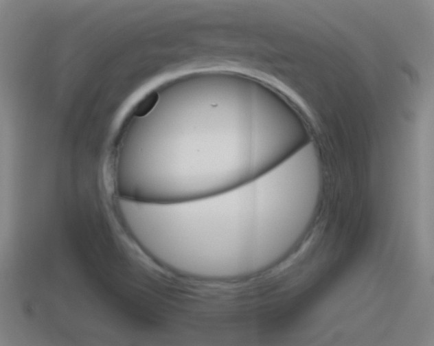 X0000114411510200910161020