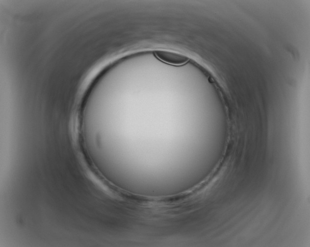 X0000114411511200910161020