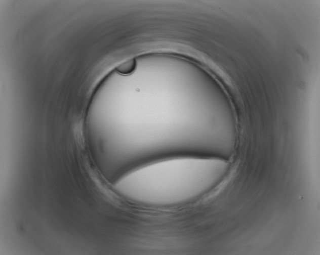 X0000114411513200910161020