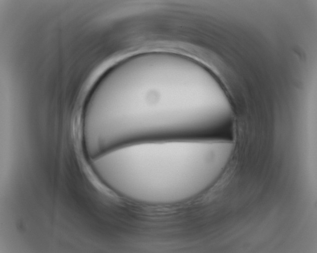 X0000114411515200910161020