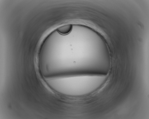 X0000114411517200910161020