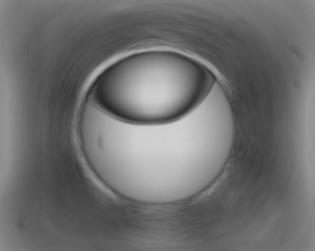 X0000114411518200910161020