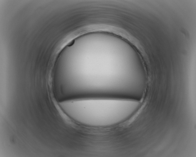 X0000114411521200910161020