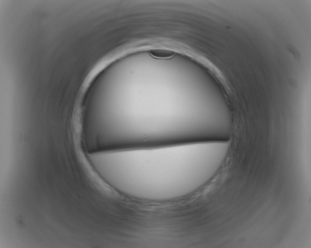 X0000114411522200910161020