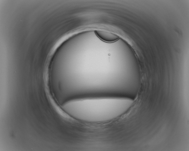 X0000114411523200910161020
