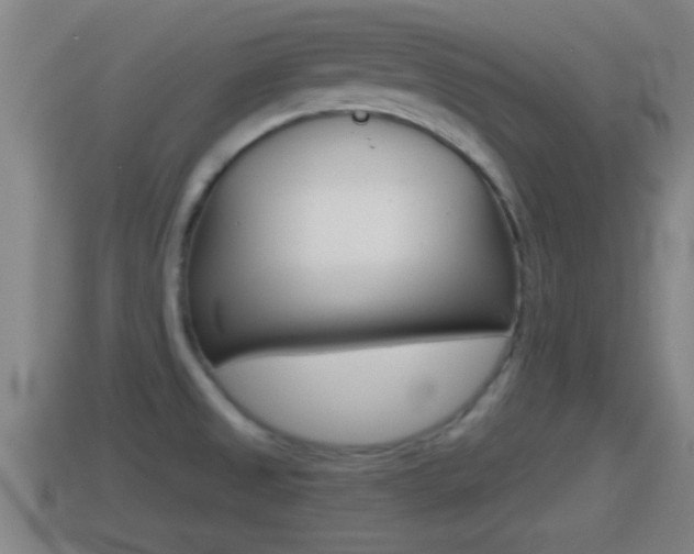 X0000114411525200910161020