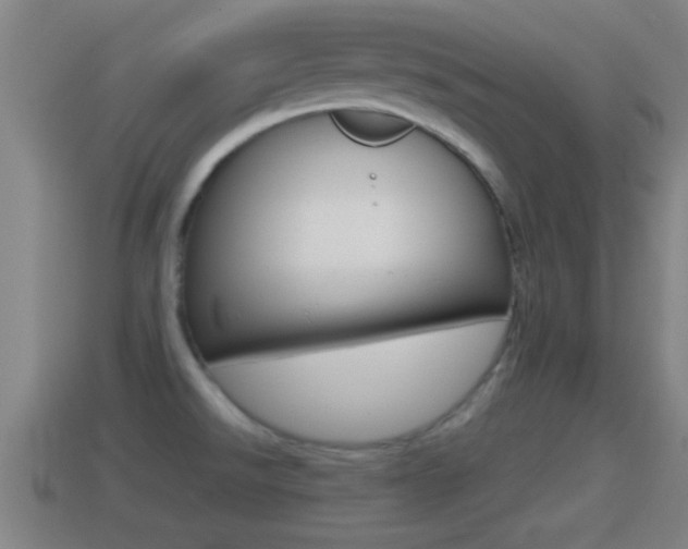 X0000114411526200910161020