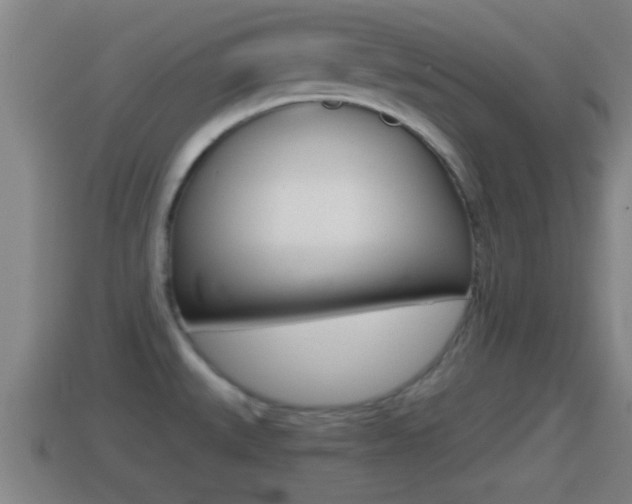 X0000114411527200910161020
