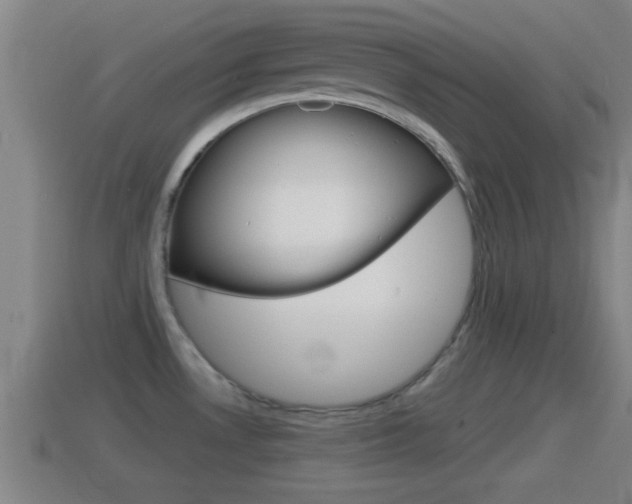 X0000114411530200910161020
