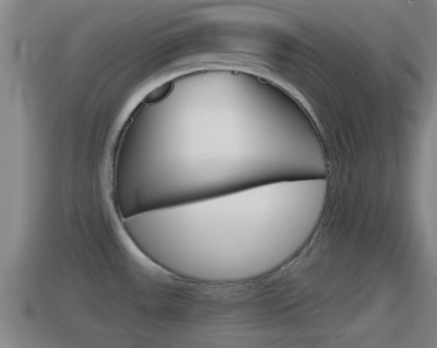 X0000114411531200910161020