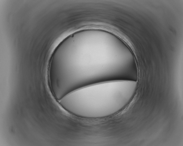 X0000114411533200910161020